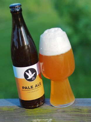 Citra Pale Ale