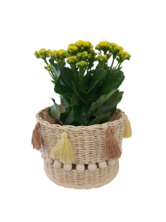 Picture of Blumenkorb aus Peddigrohr - ENE24