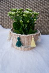 Picture of Blumenkorb aus Peddigrohr - ENE24