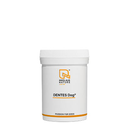 Show details for DENTES Dog® 40g Pulver Picture of DENTES Dog® 40g Pulver