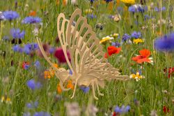 Bild von Schmetterling 3D-Puzzle